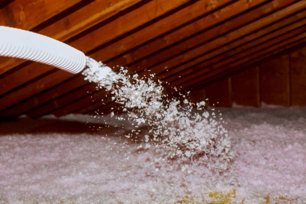 Best Eco-Friendly Insulation in Pasadena, CA
