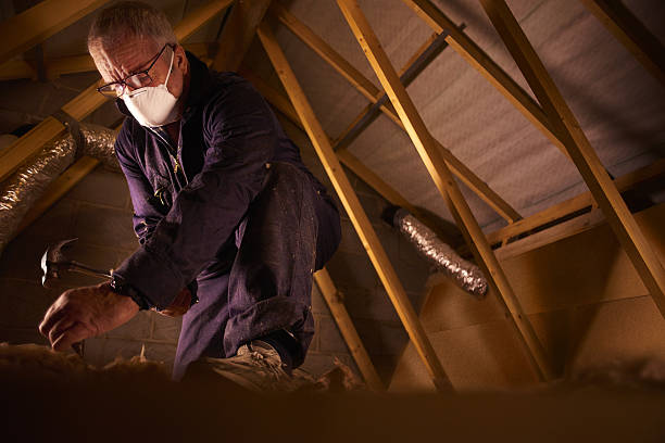 Best Cellulose Insulation in Pasadena, CA